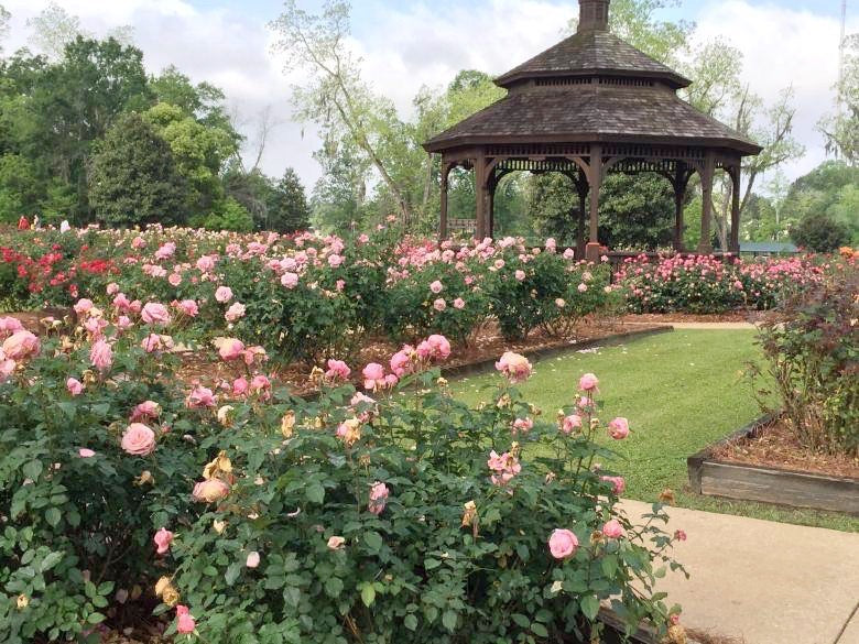 Rose Garden Thomasville