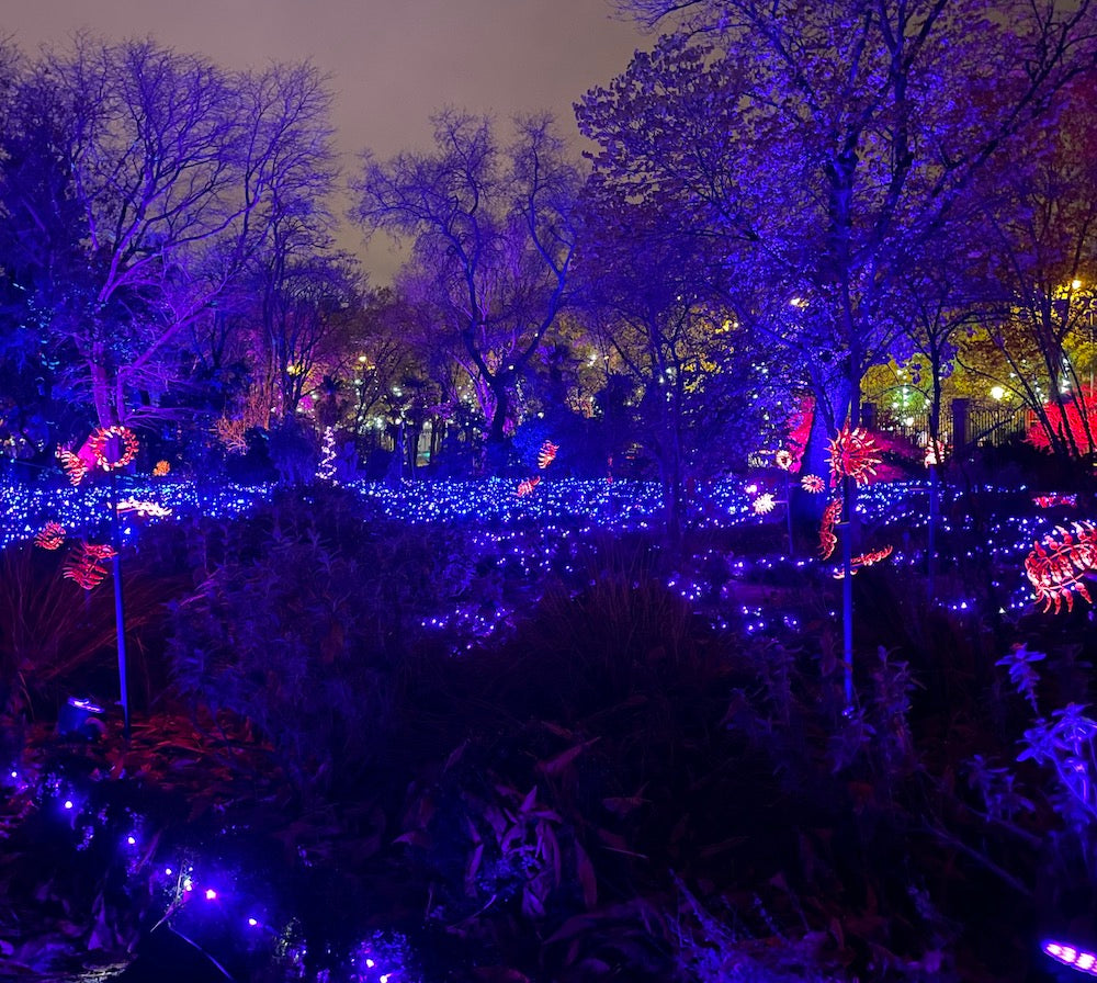 Madrid Botanical Gardens Christmas light show