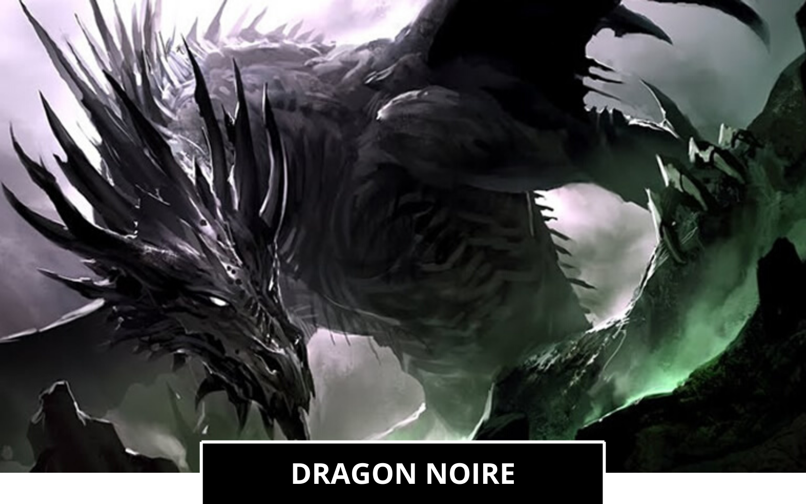 Dragons Noirs Couleurs De Dragon Dragonys Dragonys