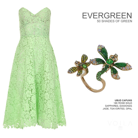 SS2024 EVERGREEN