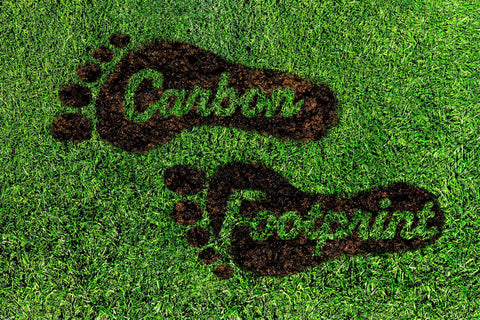 Carbon Footprint image