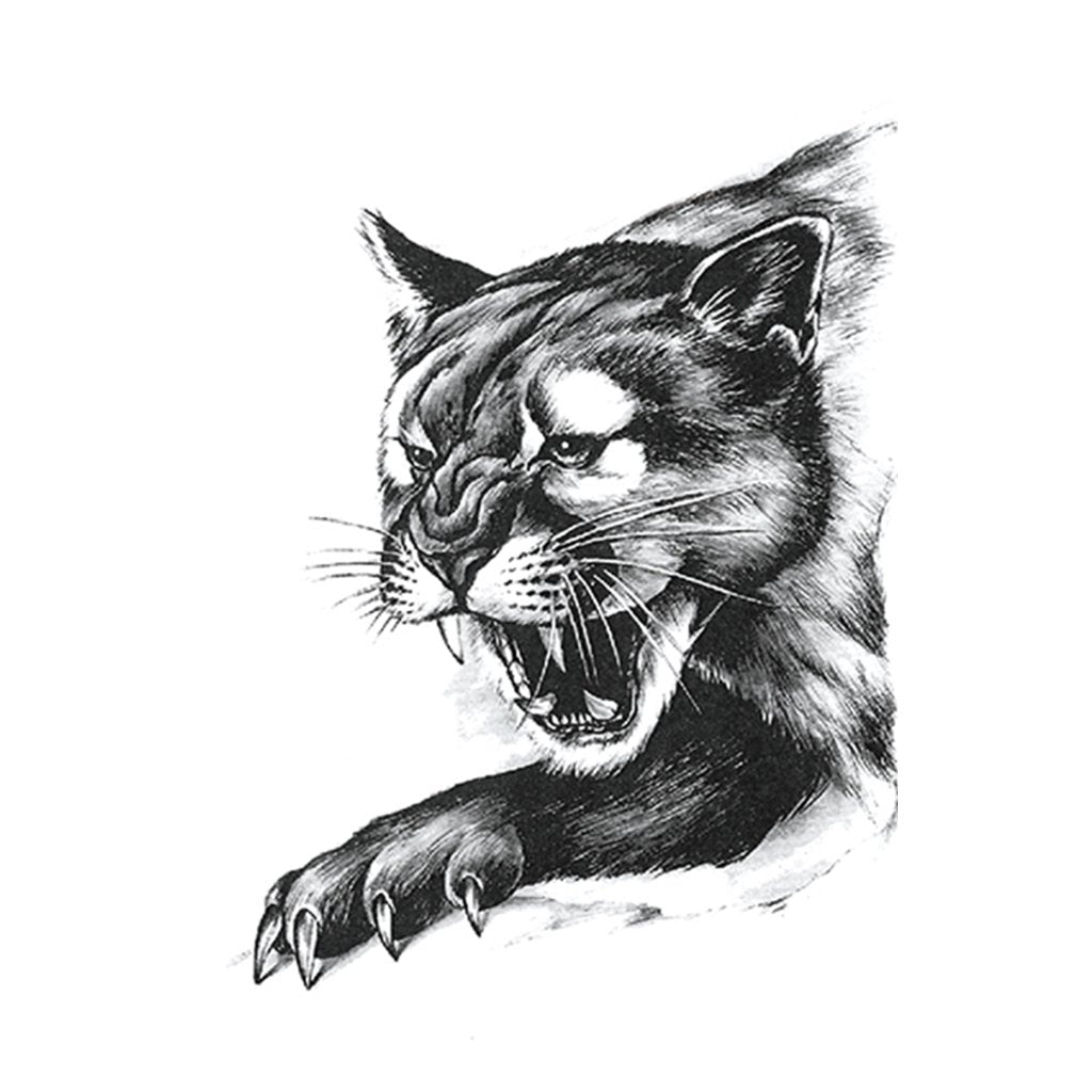 puma animal dessin