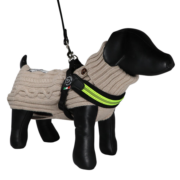 yap dog harness