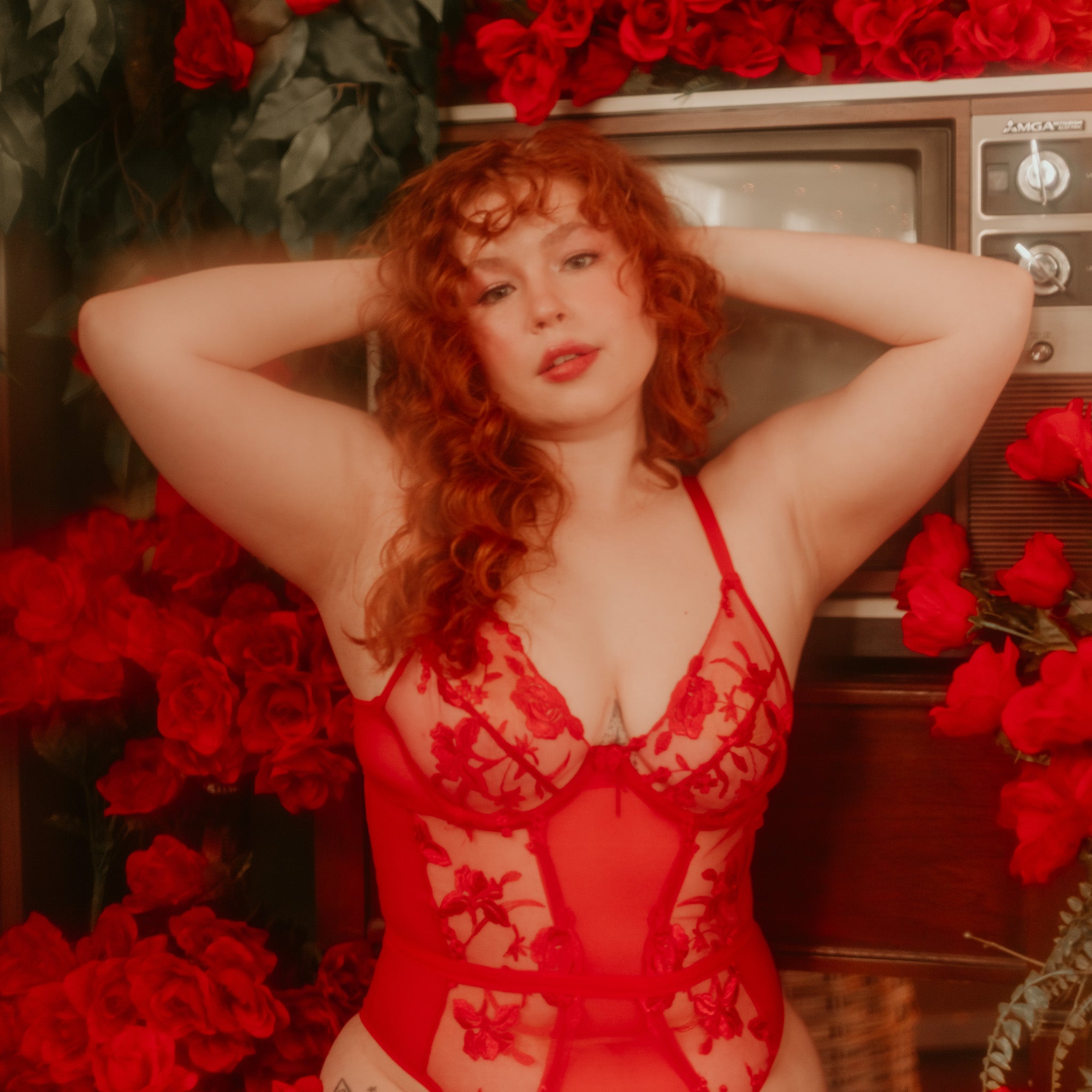 Valentine's Day Lingerie Hidden Intimates