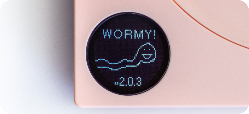 Stagg EKG's LCD screen with Wormy logo