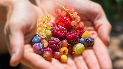 handful of berries