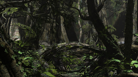 a deep, dark forest