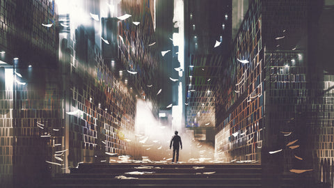 Man exploring a library