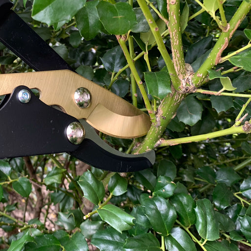 Handheld Pruners — Ray Padula Lawn and Garden