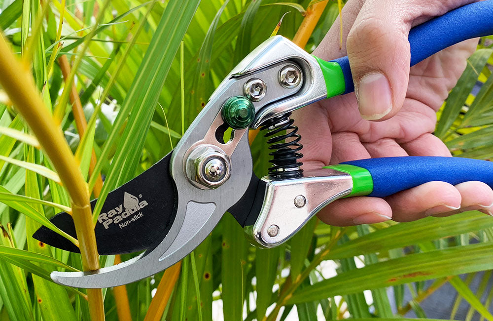 Handheld Pruners — Ray Padula Lawn and Garden
