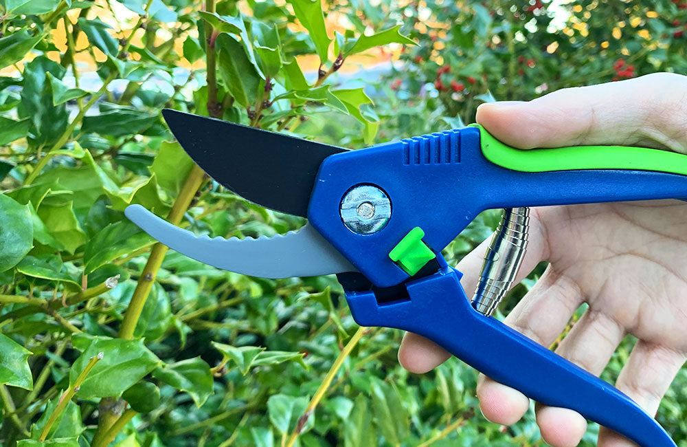 Handheld Pruners — Ray Padula Lawn and Garden