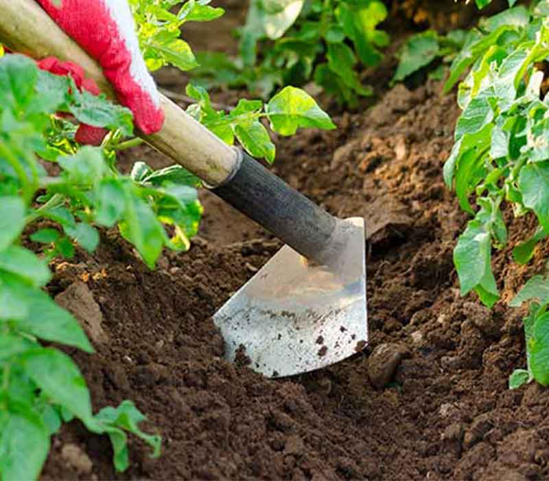 Handheld Gardening Tools — Ray Padula Lawn and Garden