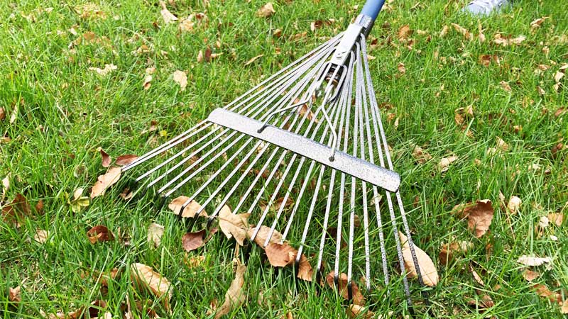 Handheld Gardening Tools — Ray Padula Lawn and Garden