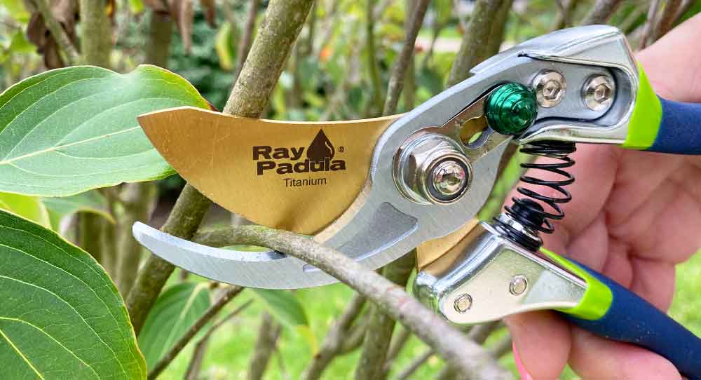 Handheld Pruners — Ray Padula Lawn and Garden