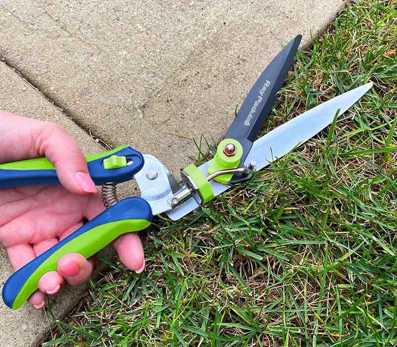 Ray Padula Grass Shears