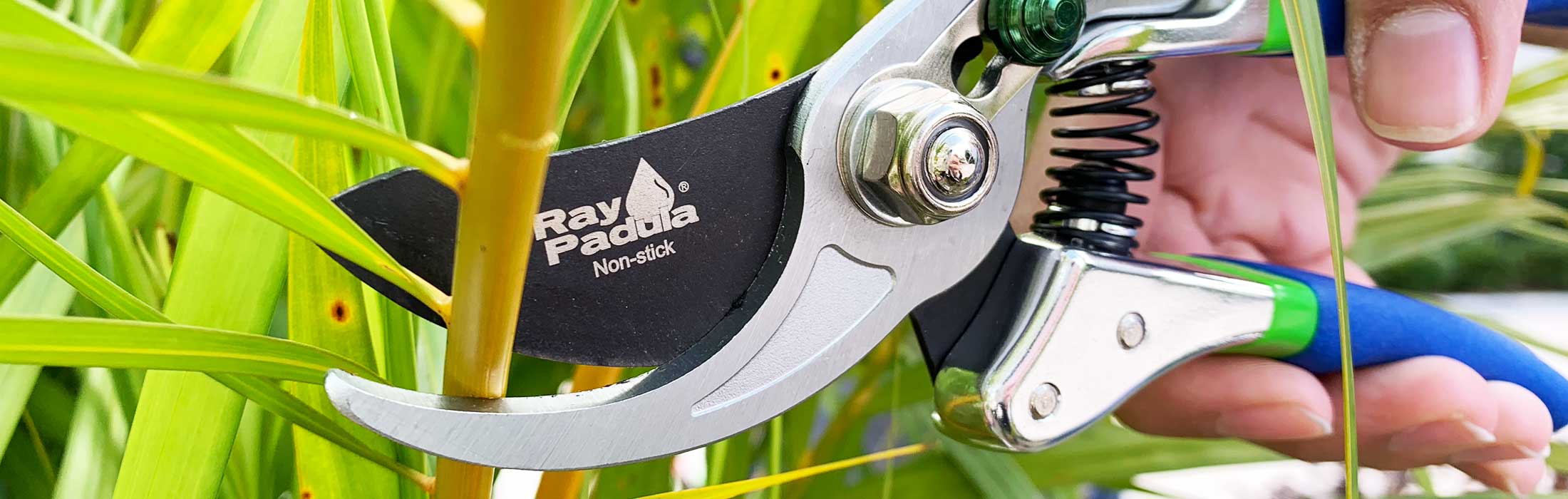 Ray Padula Bypass Pruner