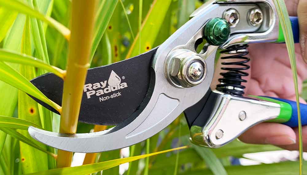 Ray Padula Bypass Pruner