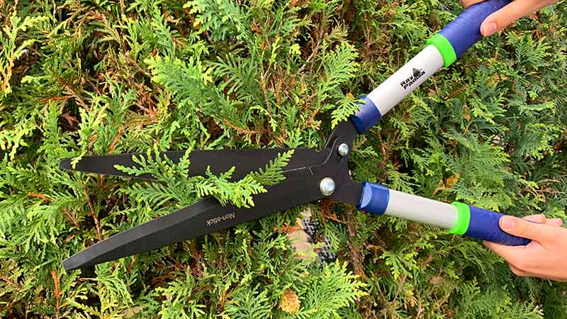 Ray Padula Hedge Shears