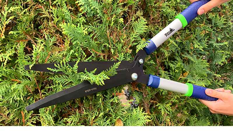 Ray Padula Hedge Shears