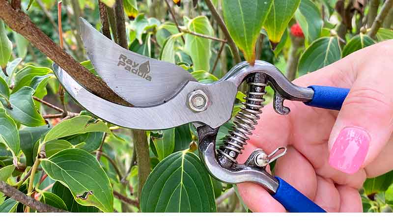 Ray Padula Pruners