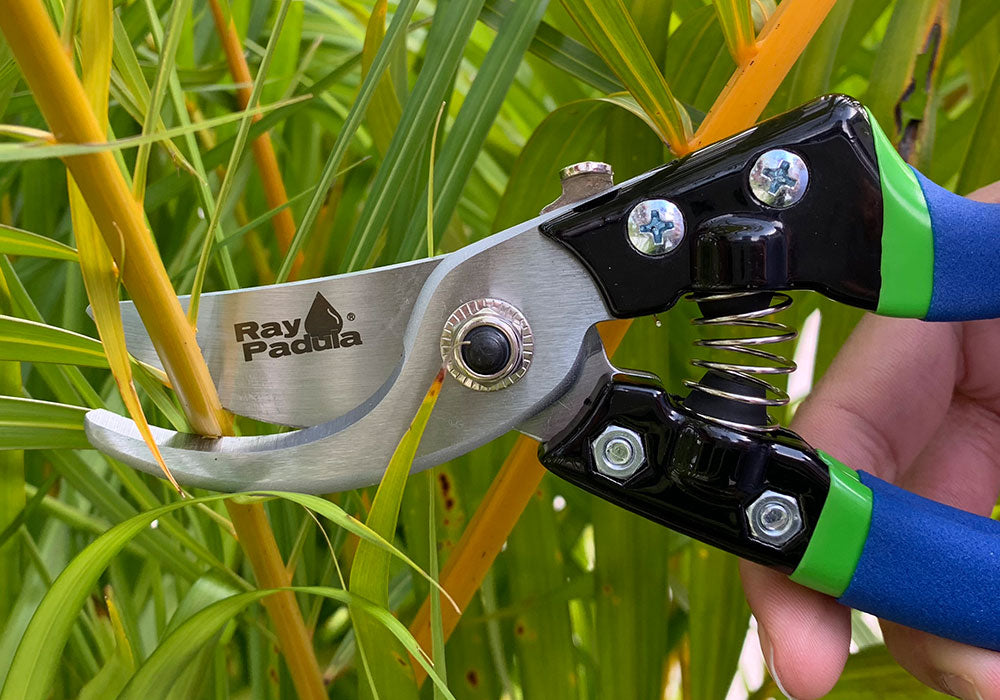 Handheld Pruners — Ray Padula Lawn and Garden