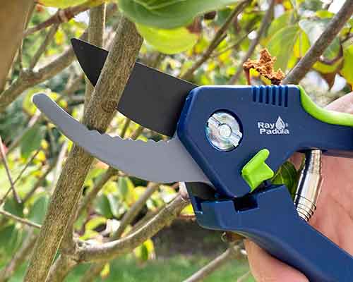 Handheld Pruners — Ray Padula Lawn and Garden