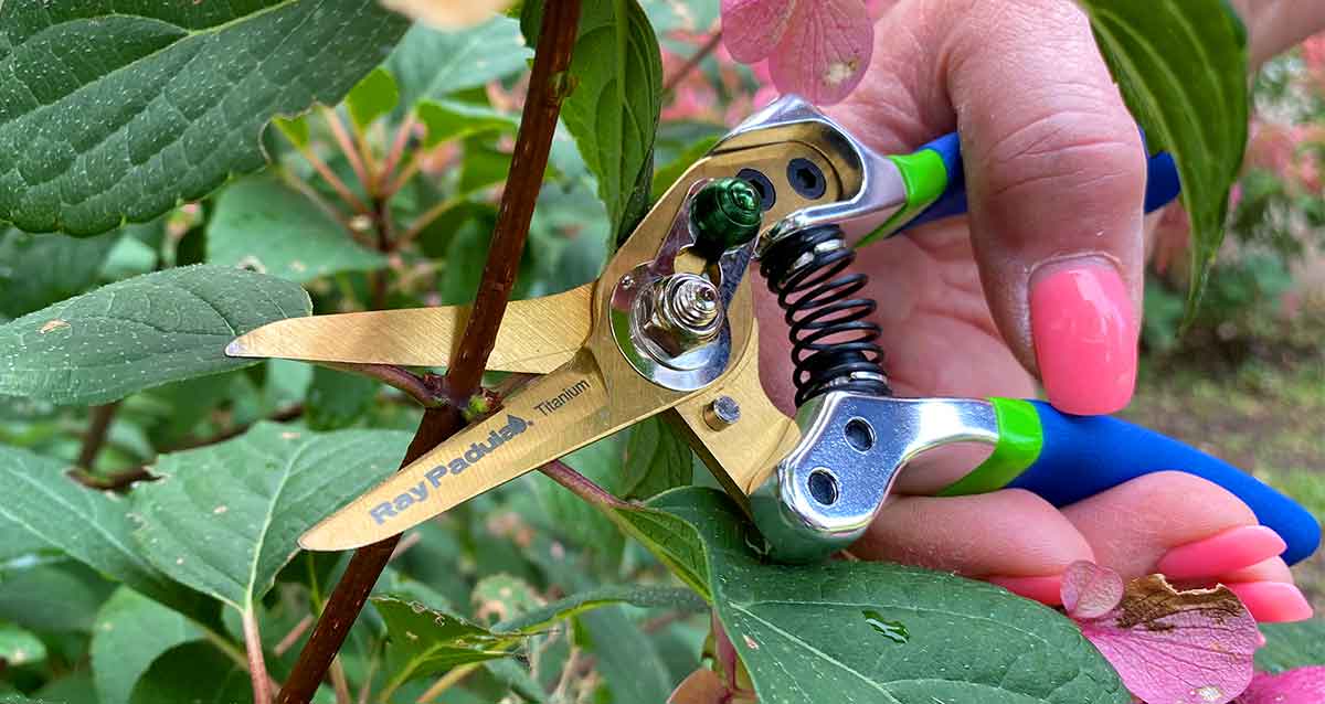 Titanium Trimming Scissors - Organic Growers Supply