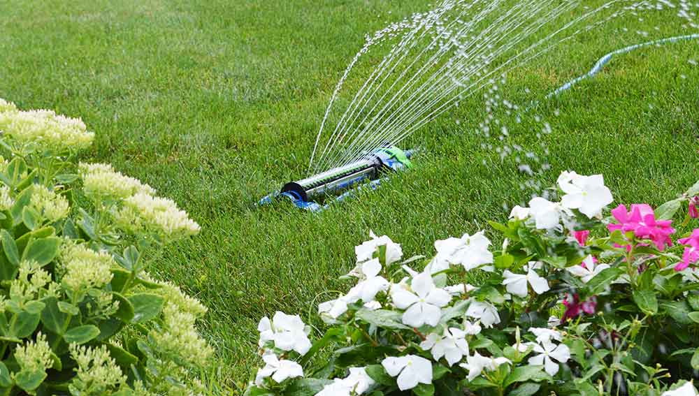Watering Bundles and Sets — Ray Padula Lawn and Garden