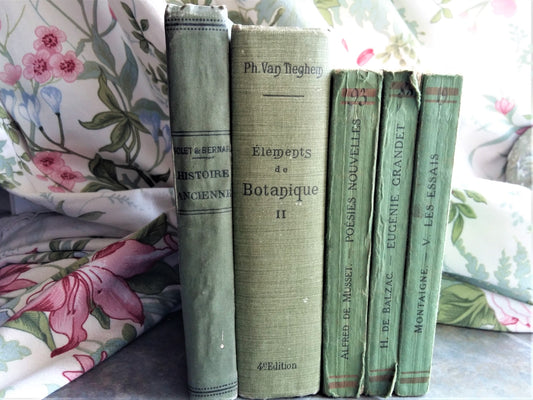 Blue Book Stack. Travel Guide, Literature by Voltaire & Montaigne.  Agricultural Encyclopaedia by Tiggy and Pip