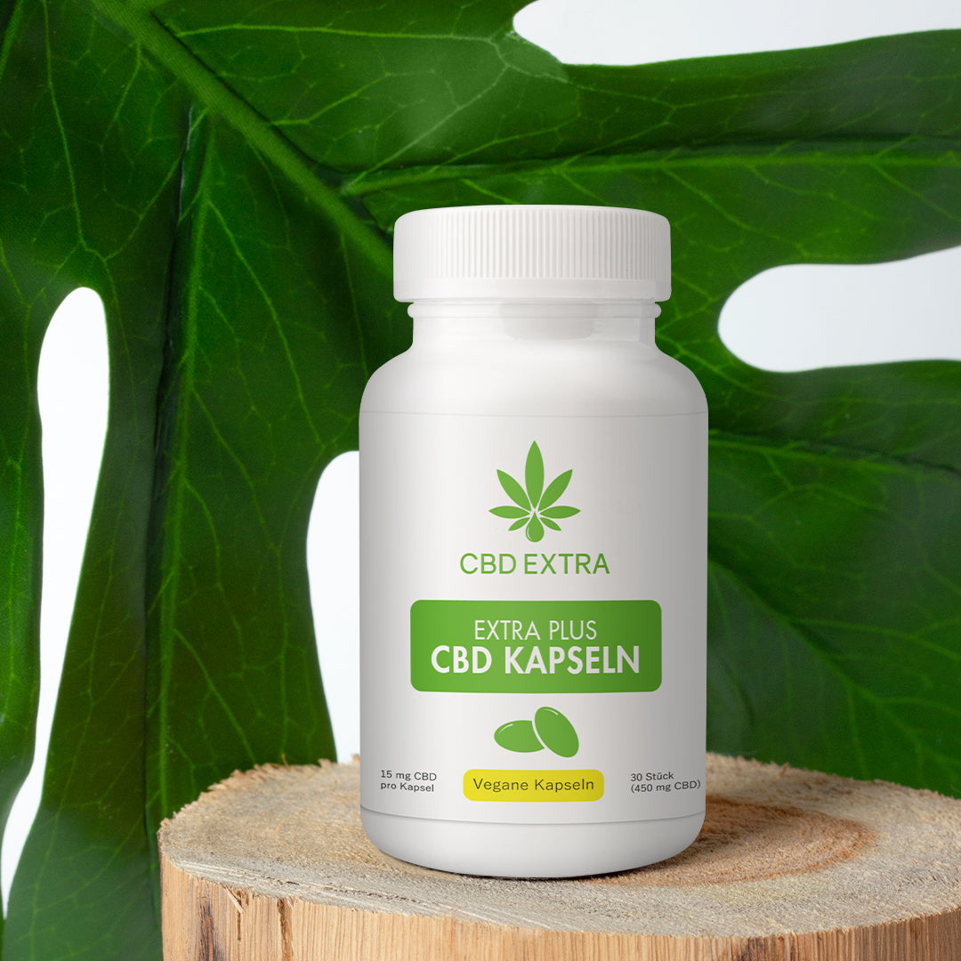 CBD Kapseln