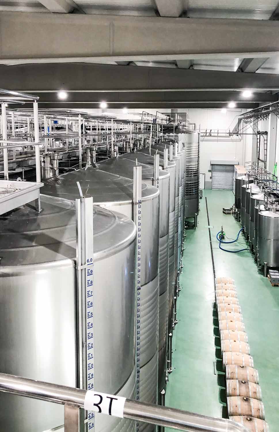 Trotz seiner jungen Geschichte, steht das Weingut Bodegas Diez Siglos seit seiner Gründung 2009 für Trauben unglaublicher Qualität. Einer der Gründe für die Zusammenarbeit mit Kolonne Null und den ersten gemeinsamen alkoholfreien Verdejo.