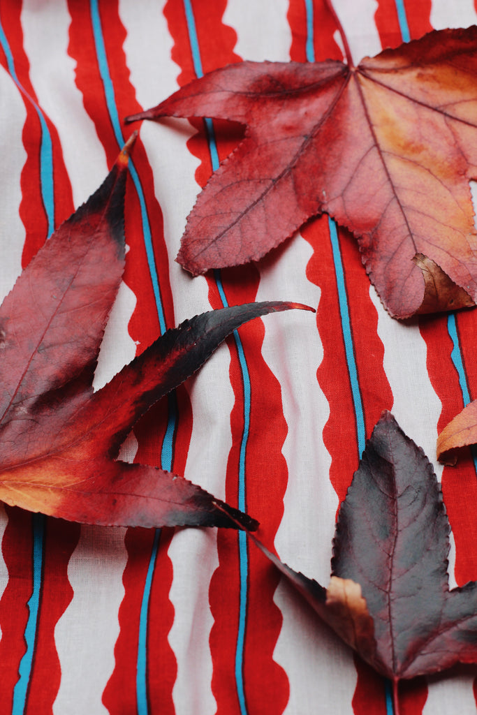 Little Tienda Picnic Print with Autumn leaves in reds and browns sitting on top, created by Nicole Nelius