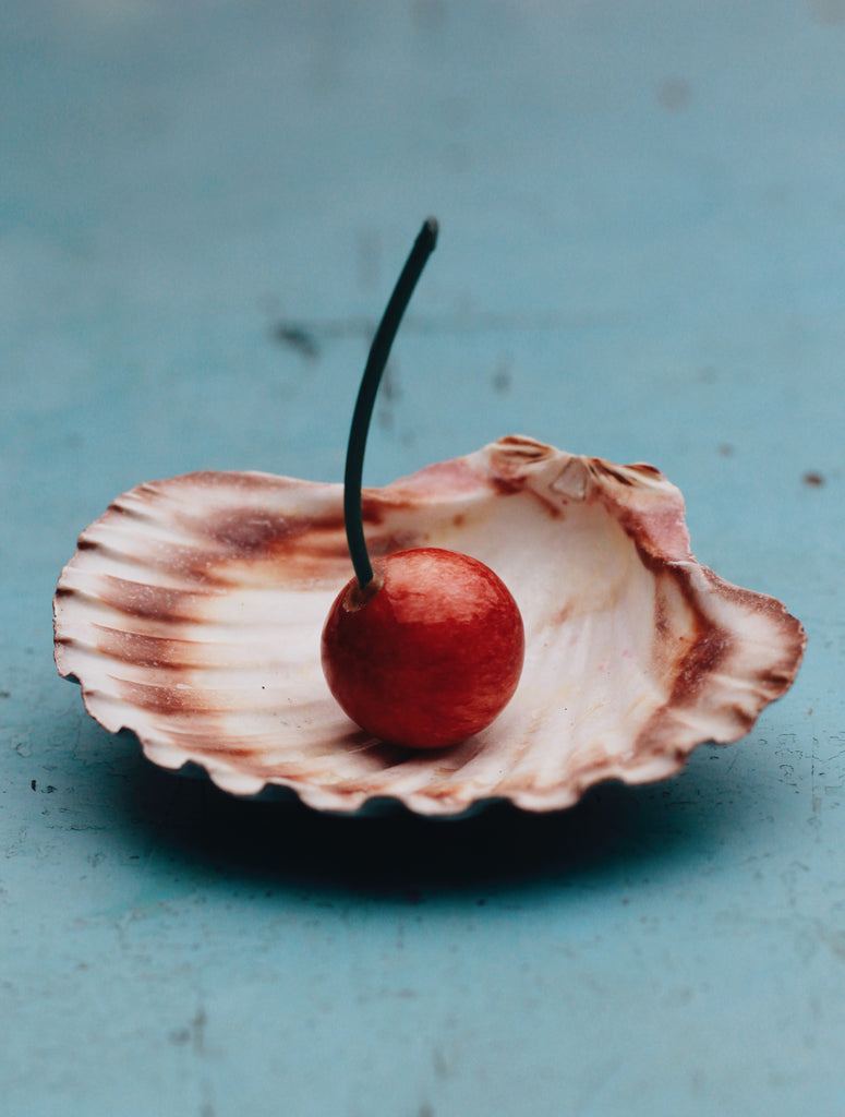 light blue background with a single shell with a cherry sitting on top, created by Nicole Nelius