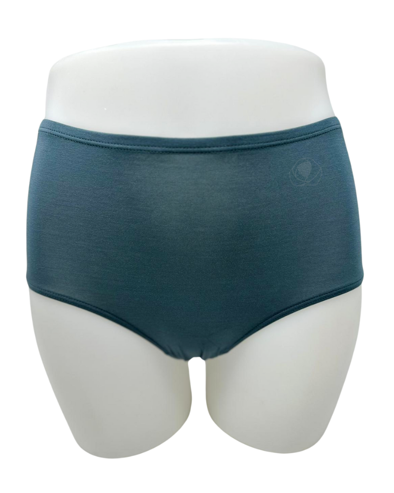 Bali Women 4-Pack Cotton Modal Ultra Soft Brief Panty Blue S