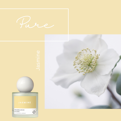 a light but long-lasting scent from jasmine perfume