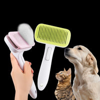 automatic dog brush