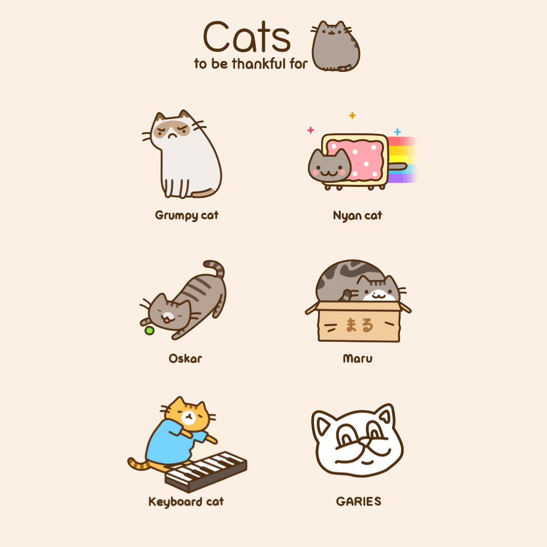 Cats to be Thankful For
