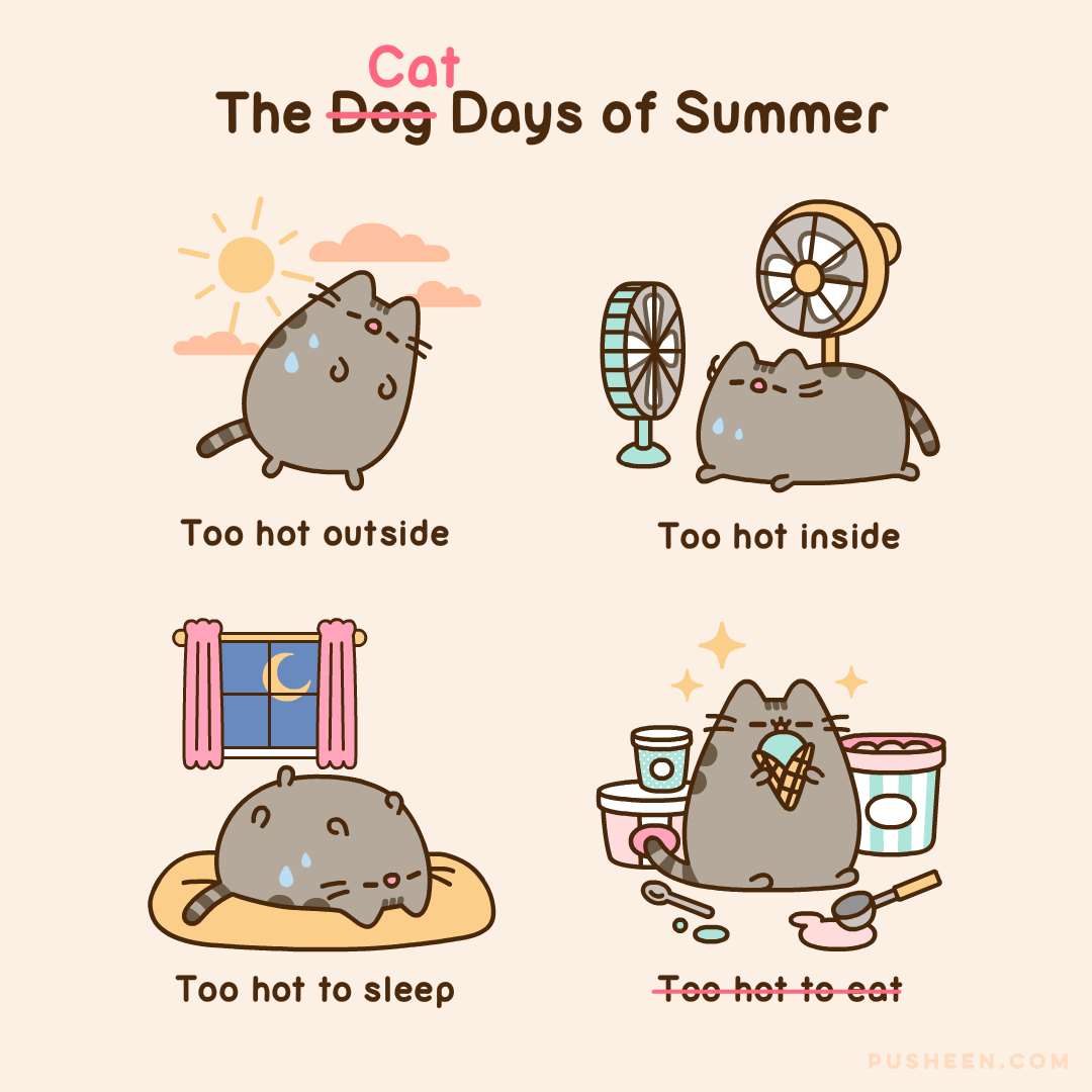 The Cat Days of Summer