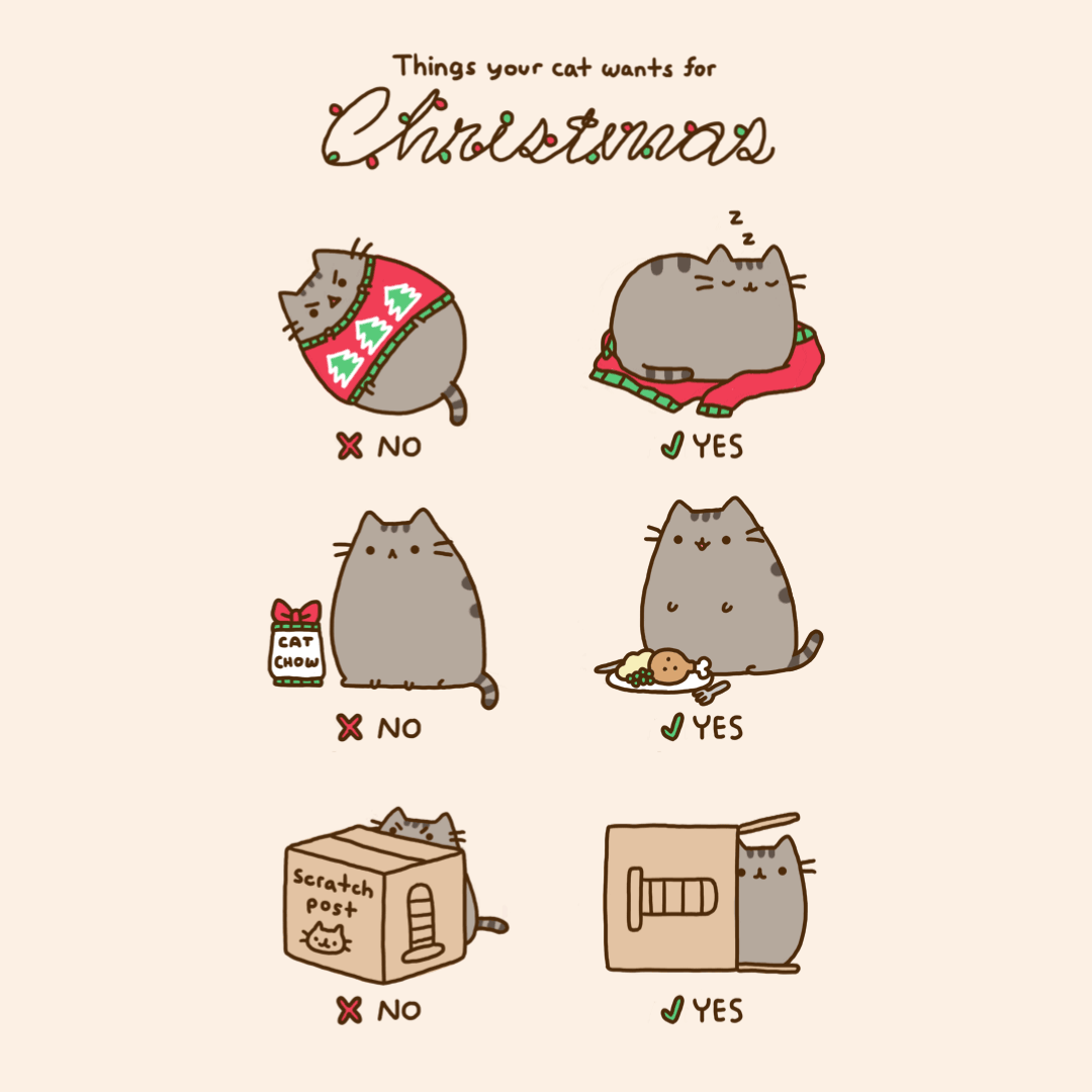Things Your Cat Wants for Christmas