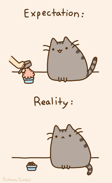 Expectation vs. Reality
