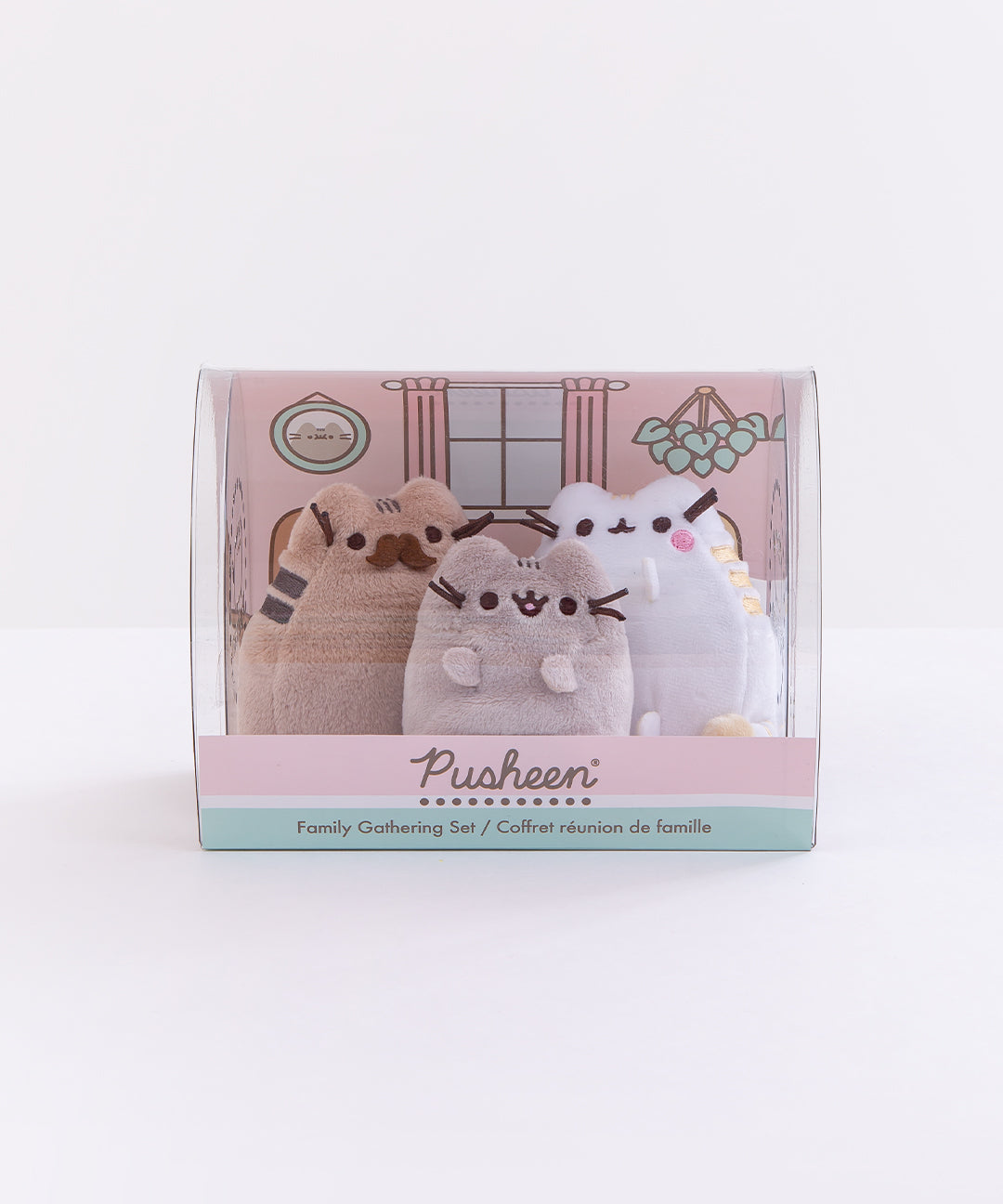 pusheen birthday set