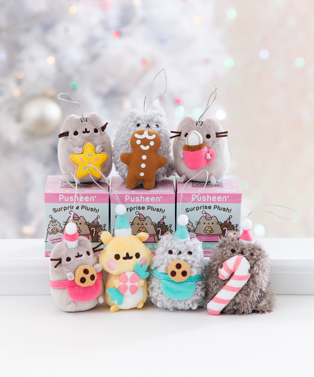 pusheen christmas surprise box