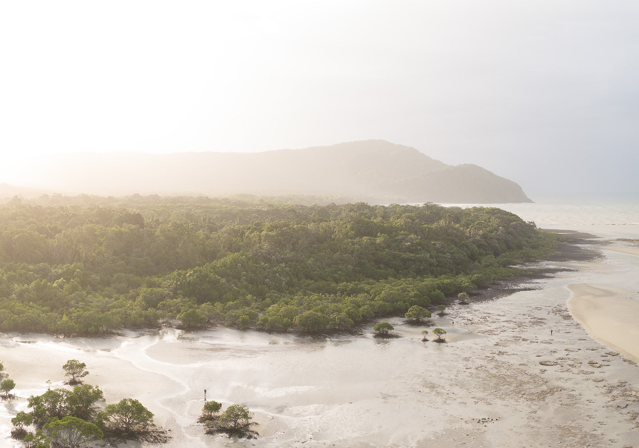 an aerial view of Cowie Bay in the daintree with bright sunlight streaming in across the scene