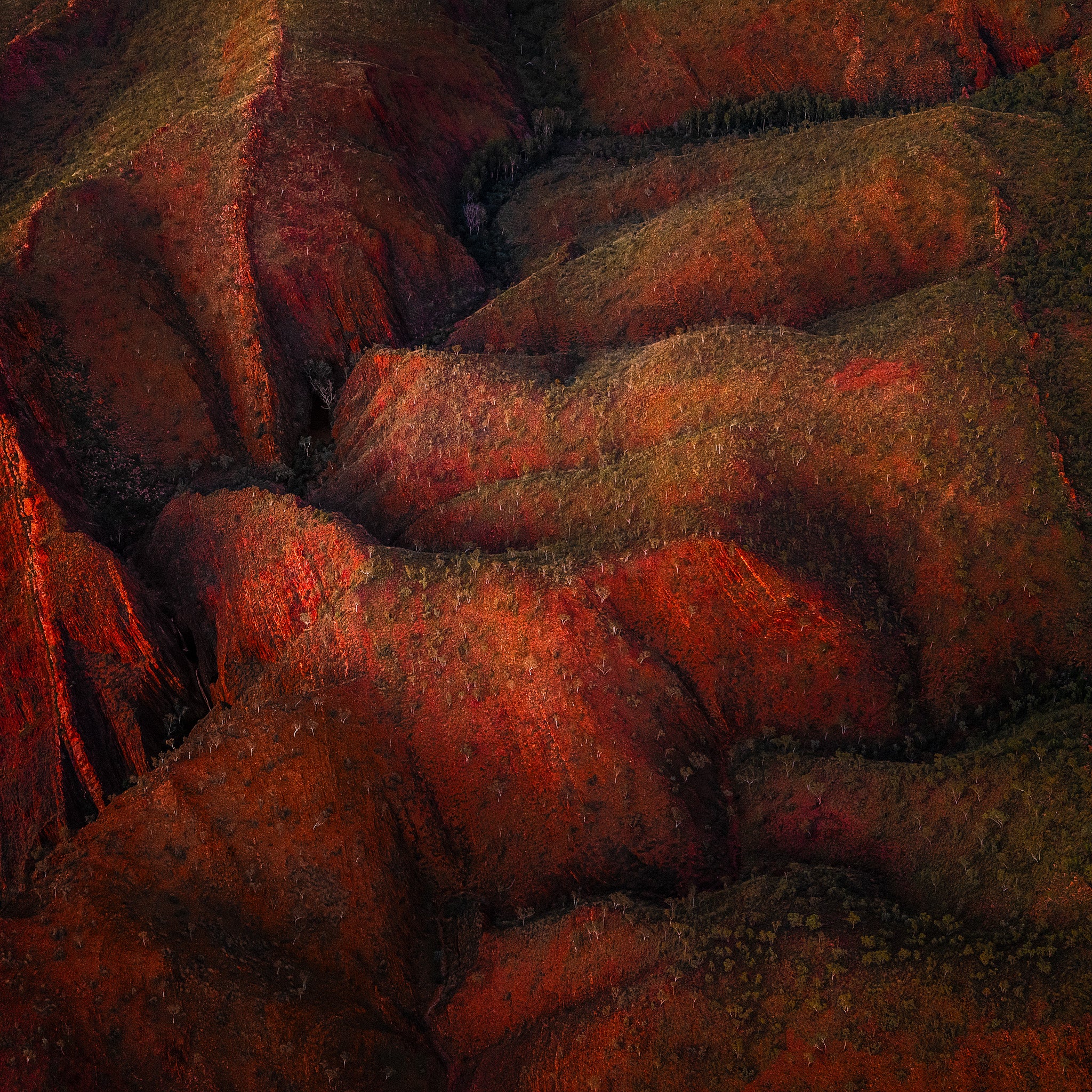 image of red hills at sunset taken over purnululu national park in the kimberley region of western australia