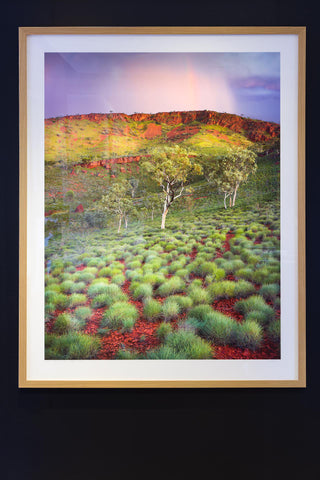 Timber frame Karijini National park sunset with spinifex and rainbow at sunset photography landscape