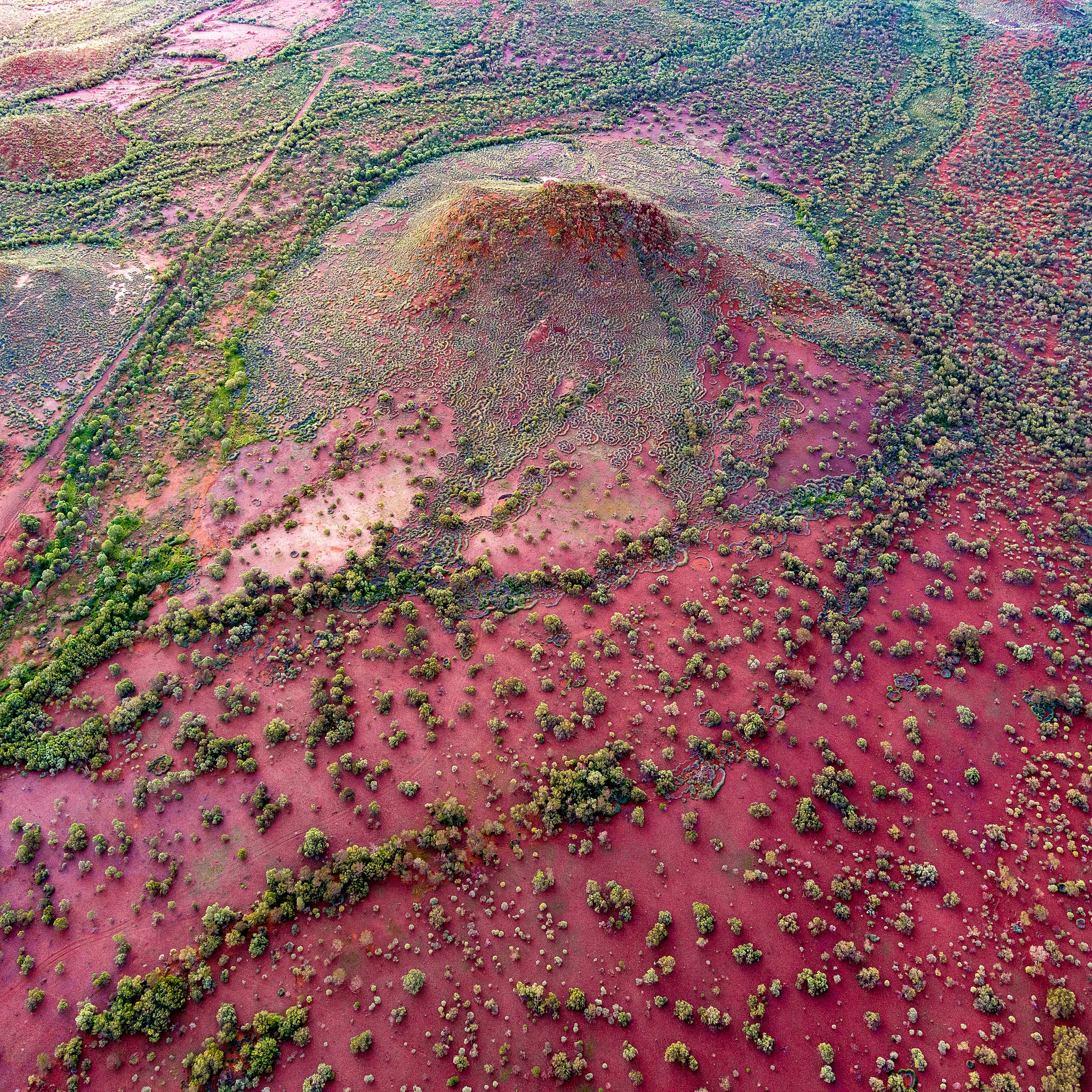 Aerial photograph of red earth and spinifex in the pilbara region of western australia