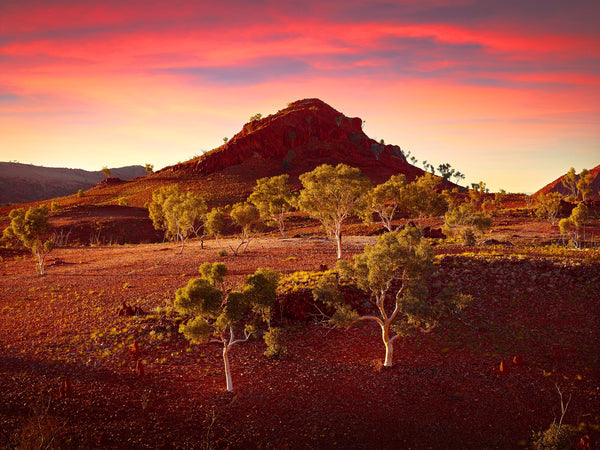 pilbara karlamilyi fletcher australiens australian