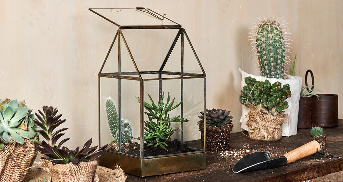 Terrarium