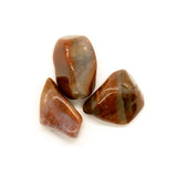 Petrified Wood Chakra Stone