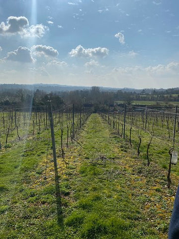 local Hampshire Vineyard and Winery